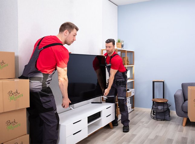 House Removal Team